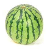 Wassermelone-Mini