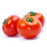 Tomaten der Woche - am Strauch
