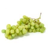! Trauben weiß kernlos - Saisonende