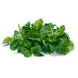 Feldsalat ca. 500g
