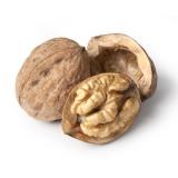 Walnüsse - neue Ernte