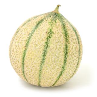 Melone Charentais