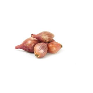 Schalotten