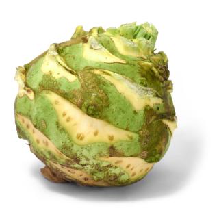 Kohlrabi Superschmelz