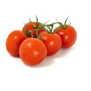 Strauchtomaten