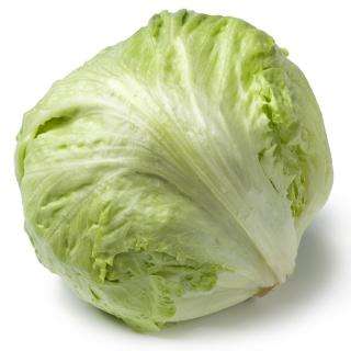 Eissalat - schön - ab 29.09.25
