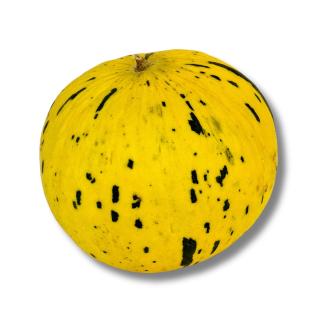 Honigmelone Thrakis