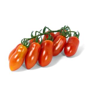 Dattelstrauchtomaten - juchuu, die 1. eigenen Tomaten