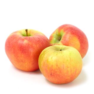 Äpfel Elstar
