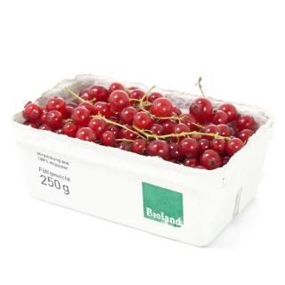 Johannisbeeren rot 250g