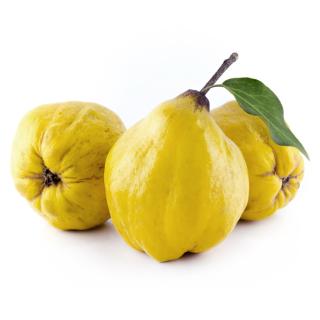 Quitten