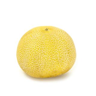 Melone Galia