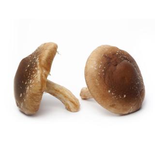 Shiitake - regional