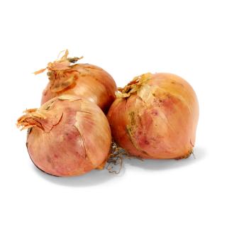 Zwiebeln - Rose de Keruel