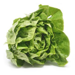 Kopfsalat