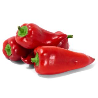 Paprika rot spitz