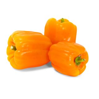 Paprika rot/grün - spitz - nur für kurze Zeit