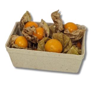 Physalis ~100g Schale
