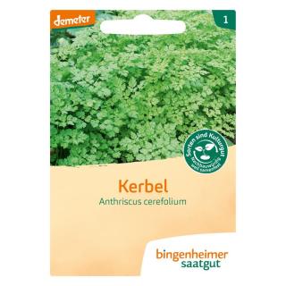 Kerbel