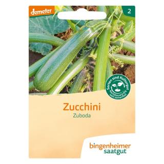 Zucchini gelb Solara