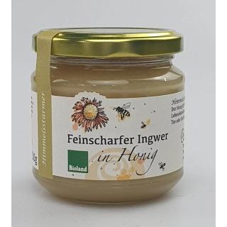 Ingwer in Honig
