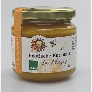 Kurkuma in Honig - Weltenbummler
