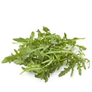 Rucola