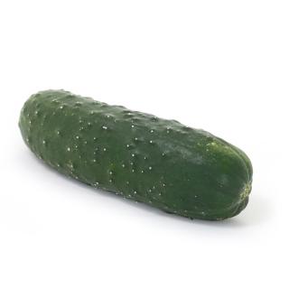 Landgurken