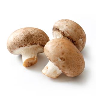 Steinchampignons