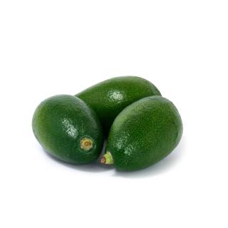 Avocado Fuerte