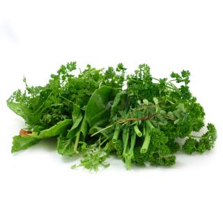 Grüne Soße - lieferbar ab 23.03.26