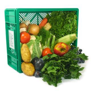 Gemüse+Obst XS