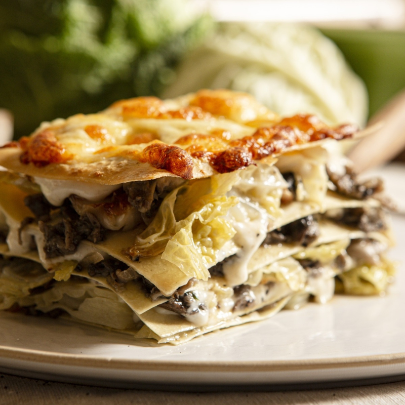 Wirsing-Pilz-Lasagne
