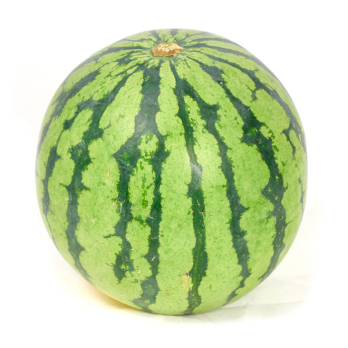 Wassermelone-Mini