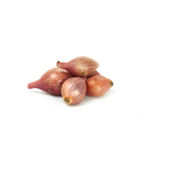 Schalotten
