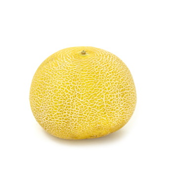 Melone Galia