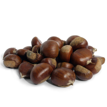 Maronen - Esskastanien