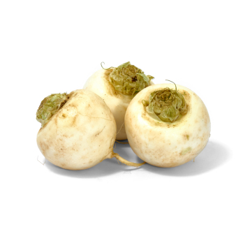 Rübchen weiß - regional