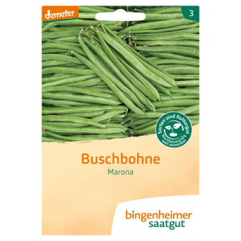 Buschbohnen Marona