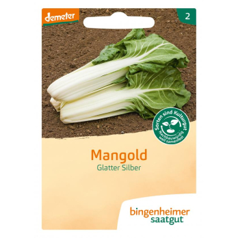 Mangold Glatter Silber
