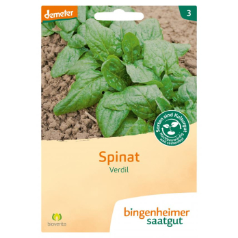 Spinat Verdil/Winterriesen