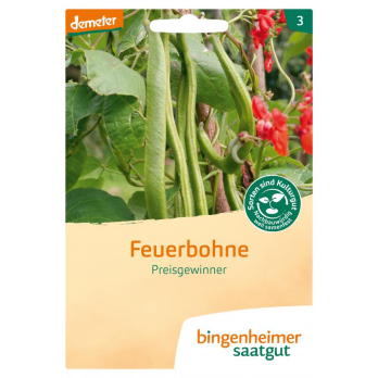 Bohne, Feuerbohne
