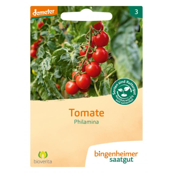 Tomate Philamina