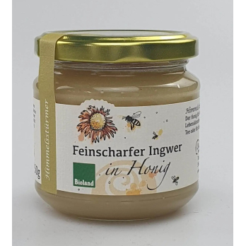 Ingwer in Honig