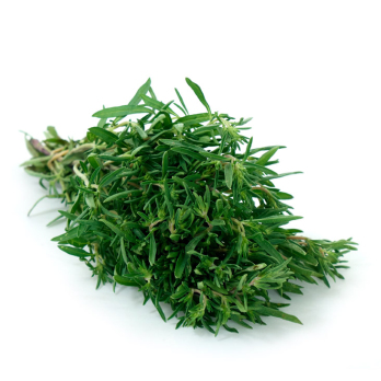 Bohnenkraut