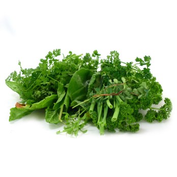 Grüne Soße - lieferbar ab 23.03.26