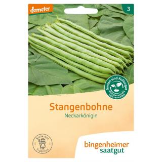 Stangenbohnen Neckarkönigin