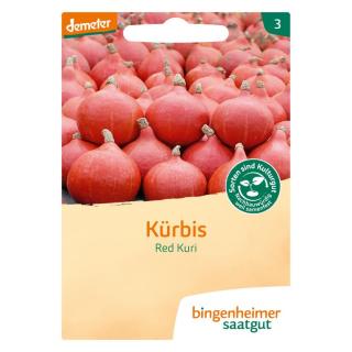 Hokkaidokürbis Red Kuri
