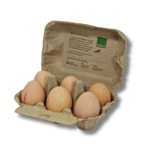 Eier 6 Stück - Coffee & Cream vom Zweinutzungshuhn - regional