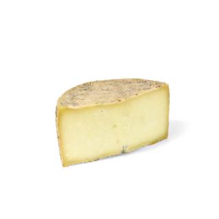 Manchego DOP g. U.
